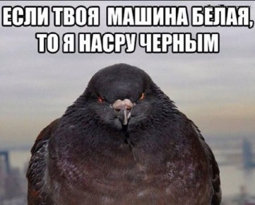 �� ��������� ������� � ���� ������ ����� �� 3 000