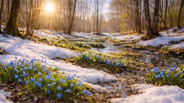 ���� 2026 ���� ����� ����� ����� ��������� � ������蠗 ��������