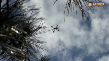 ������������� ��� 18-� ����� ����������� ����� "�����" ������������� ���������� ����� ��� � ���� ��� ���������� ��������