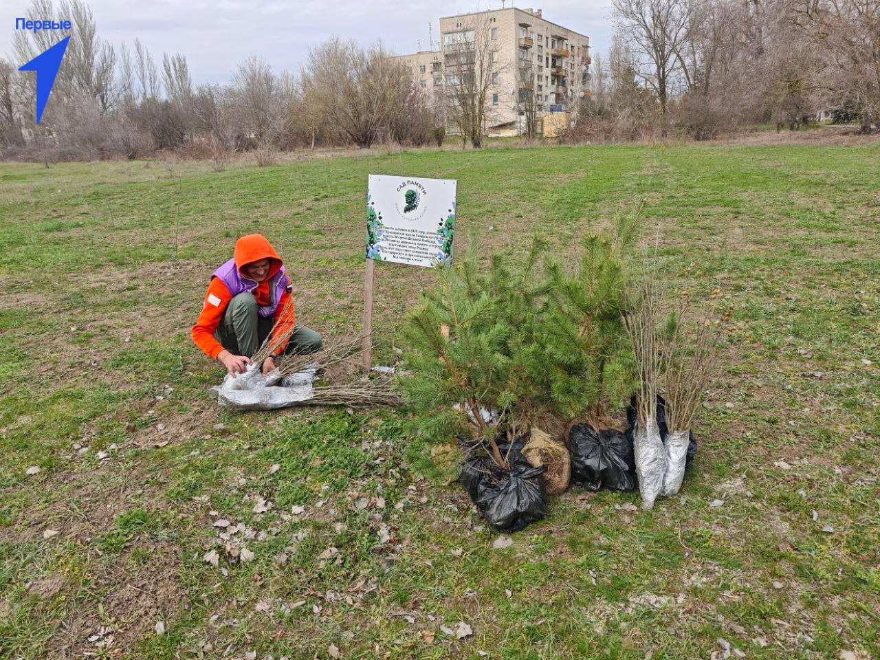 Первые Красненской школы приняли участие в акции «Сад памяти» Первые Красненской школы приняли участие в акции «Сад памяти»