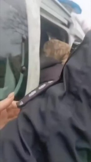 ���������� �� ����.. ��������-����� ���������� �������