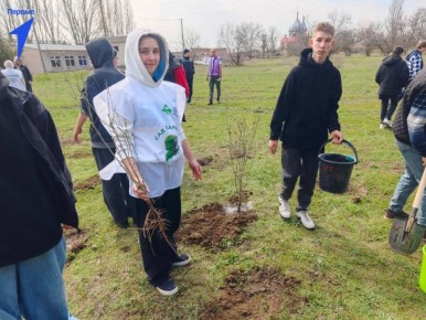 ������ ����������� ����� ������� ������� � ����� ���� ������