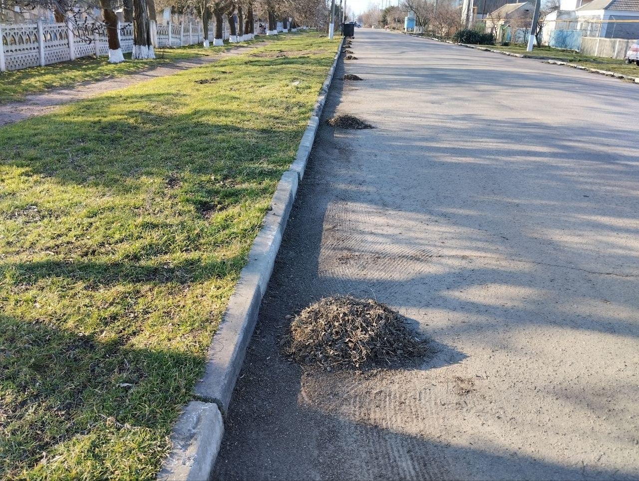 МБУ «Джарылгач»: уборка старого кладбища в Скадовске МБУ «Джарылгач»: уборка старого кладбища в Скадовске