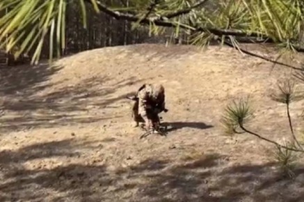 �������������� ����� ������� ���