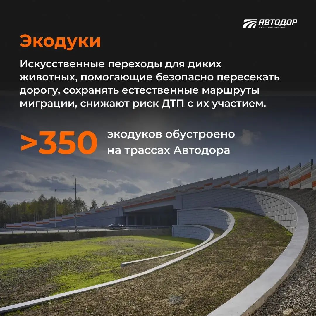 Скорость, безопасность, комфорт — три главных принципа дорог Автодора Скорость, безопасность, комфорт — три главных принципа дорог Автодора