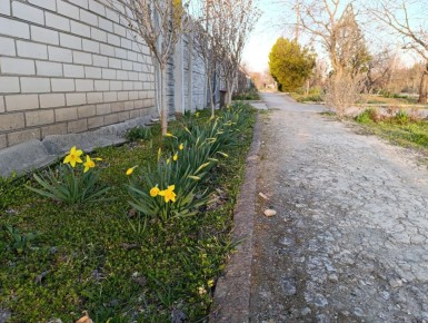 ������ ����, ������ ���������� ������!