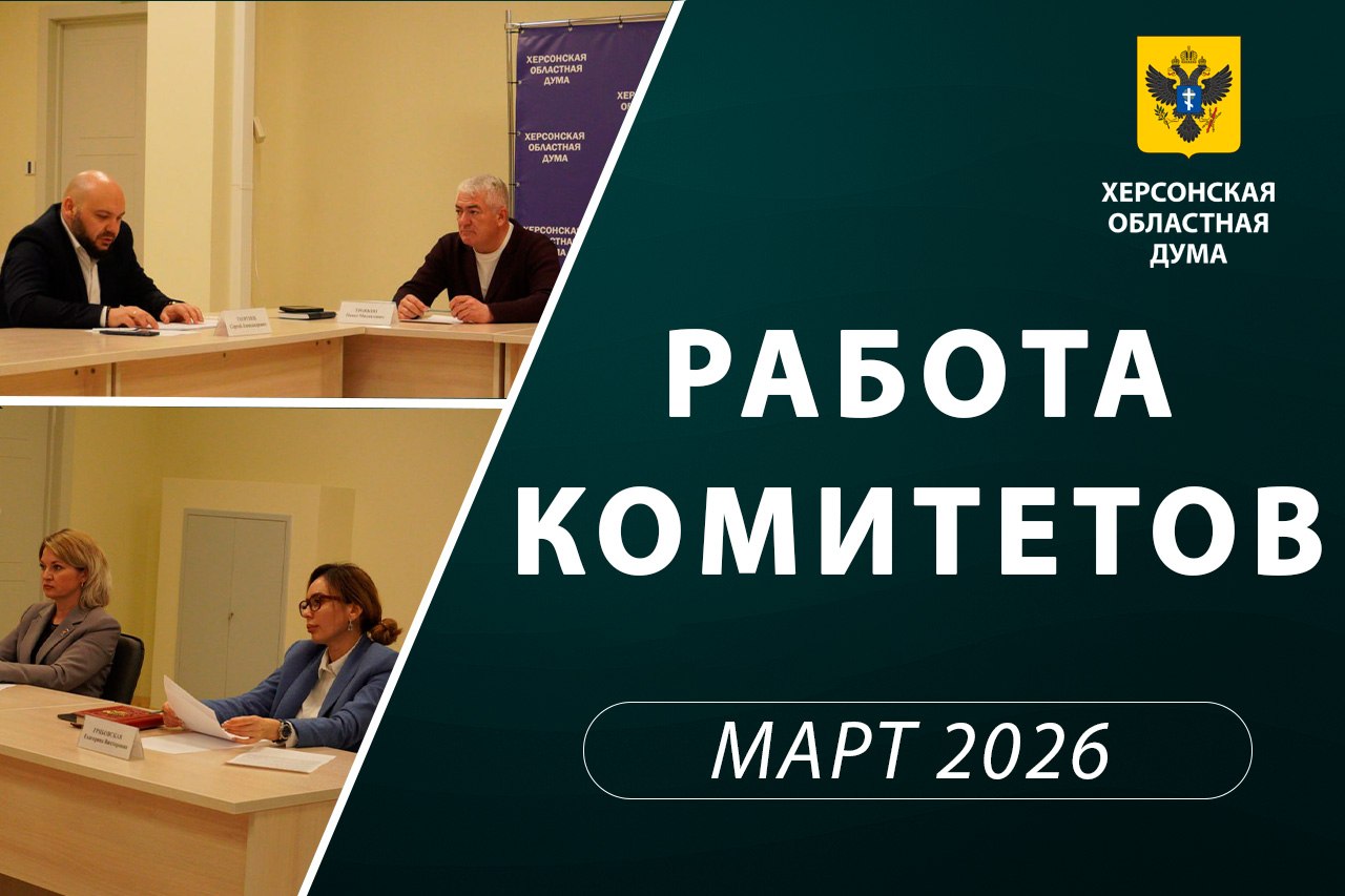 Комитет Херсонской облдумы по соцполитике рассмотрел итоги работы уполномоченных по правам ребенка и по правам человека в регионе за 2025 год, а также ряд федеральных инициатив