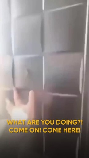 ���� �������� ������ ���� �� ��������� ���