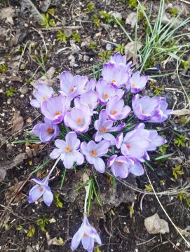 � ������ �����, �������!. ������� �����, 25 �����