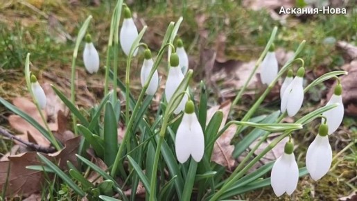 � �������-���� �������� �����������