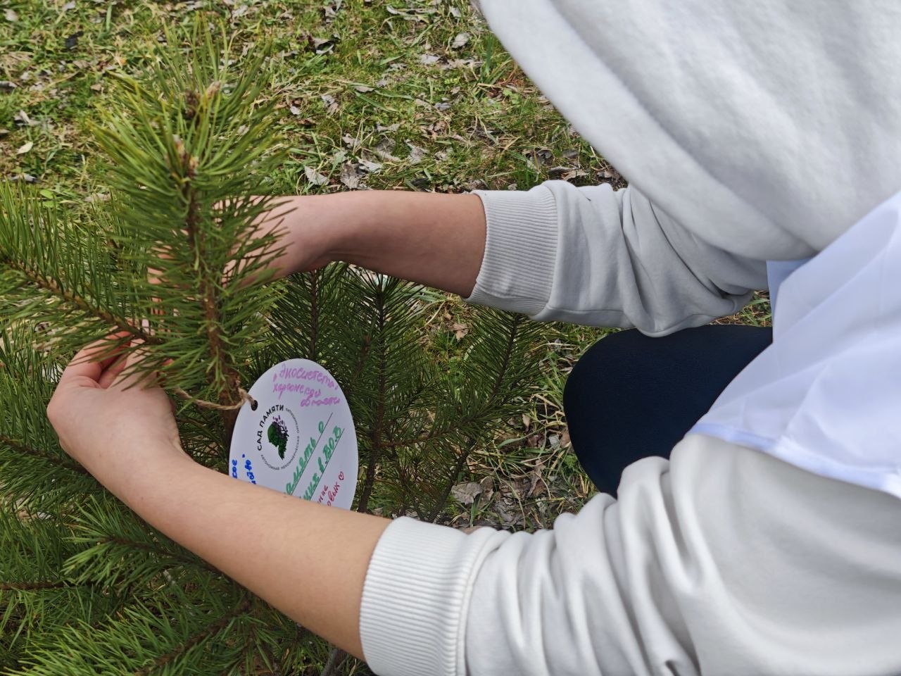 «Сад памяти» в Красненской школе «Сад памяти» в Красненской школе