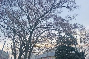 ������ ��������� �� ��������: ����� ����� ������ � ���������� ������� 25 ����� 2026 ����