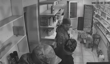 Енот из Херсона: Рейдерский захват вместо мобилизации