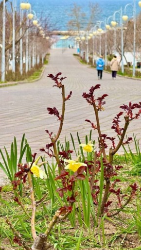 ����� � ����� ���� ���������