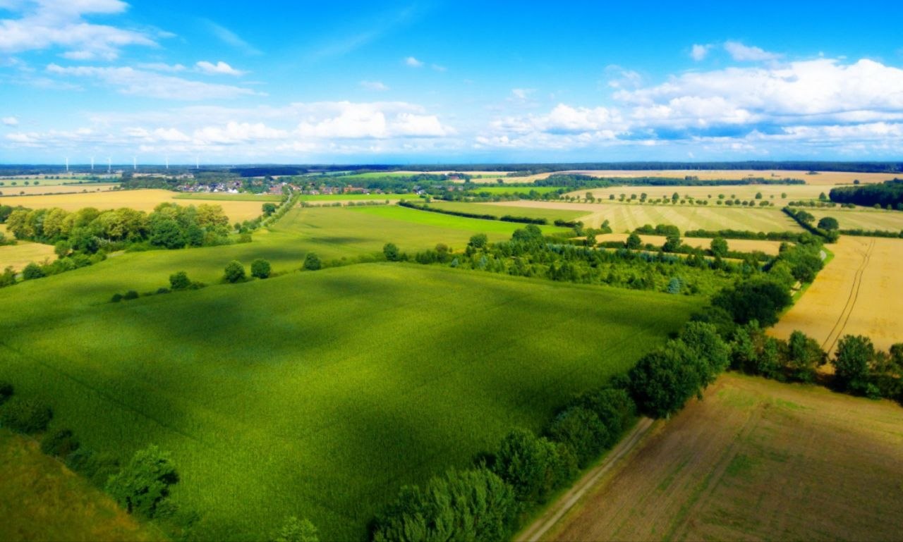 Жителей Ивановского муниципального округа приглашаем принять участие в ежегодном месячнике по благоустройству, а также в субботниках, которые состоятся 9 и 23 апреля 2026 года Жителей Ивановского муниципального округа приглашаем принять участие в ежегодном месячнике по благоустройству, а также в субботниках, которые состоятся 9 и 23 апреля 2026 года
