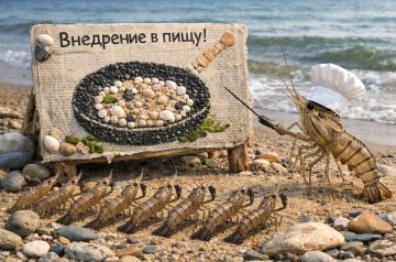 ����� ����� �������: �������� ������� ��������������� ��������-����������