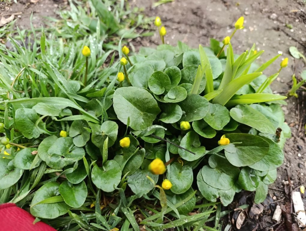 Юлия Семякина: Доброе утро, жители Генического округа! Юлия Семякина: Доброе утро, жители Генического округа!