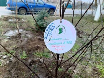 Свято-Пантелеймоновский храм в Скадовске принял международную акцию «Сад памяти»