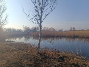 ������ ������� ������� ������������� ����� �������� � ���������� �� ������������� ������