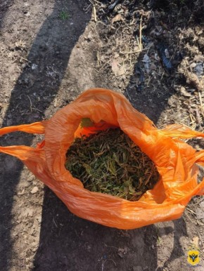 � ������������� ������ ��������������� ������ ������������ �������� � 40-������� �������