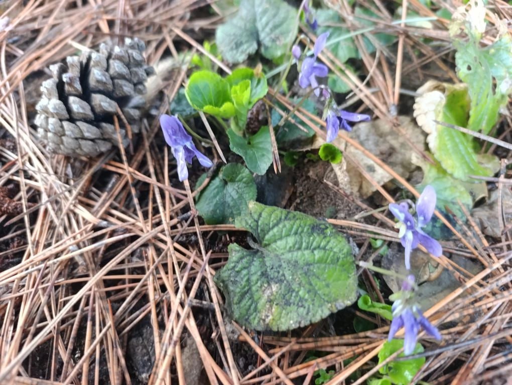 Юлия Семякина: Доброе утро, жители Генического округа! Юлия Семякина: Доброе утро, жители Генического округа!