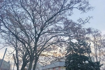 ����� ����� ������ � ���������� ������� 26 ����� 2026 ����