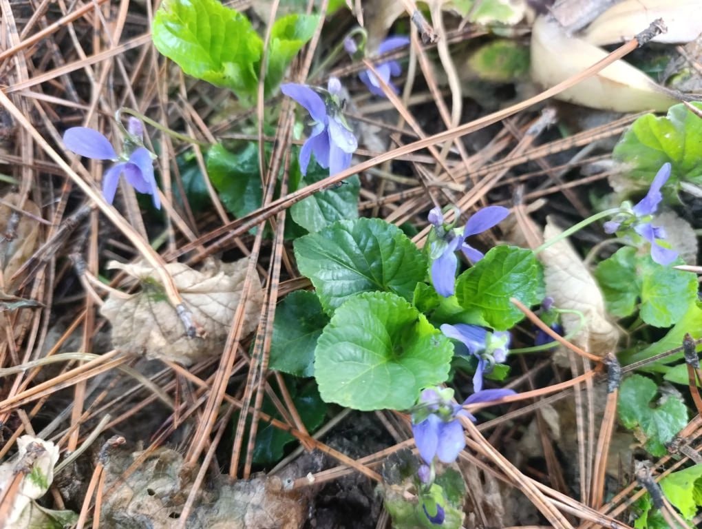 Юлия Семякина: Доброе утро, жители Генического округа! Юлия Семякина: Доброе утро, жители Генического округа!