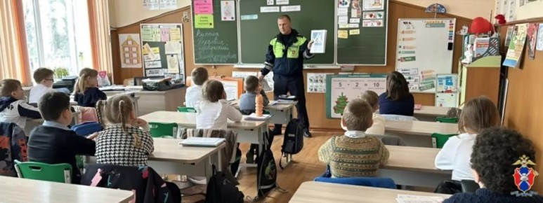 В Херсонской области сотрудники Госавтоинспекции провели профилактические занятия со школьниками