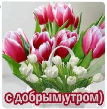 ������ ����, �����!. ������� �������, 26 �����