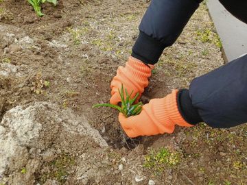 ����� ������� ��������� ���������� ������� ���� ����������