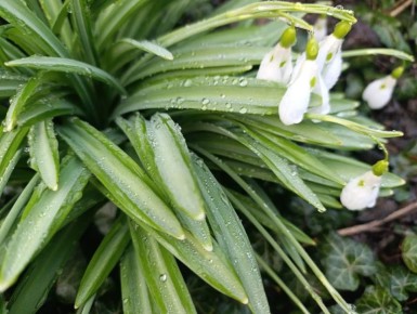 ���� ��������: ������ ����, ������ ����������� ������!