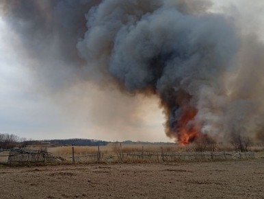 ������� ��� ������� ����� 440 ������ �� ���������� ������������ ������ � 14 �� 20 �����