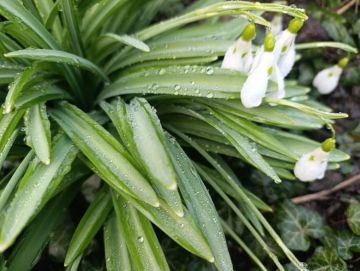 ���� ��������: ������ ����, ������ ����������� ������!