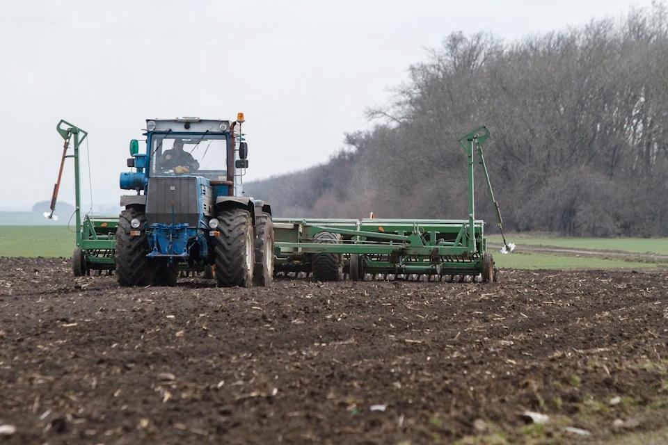 В Херсонской области положительно оценили состояние озимых