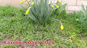 ������ ����, ������� ���� ����������!