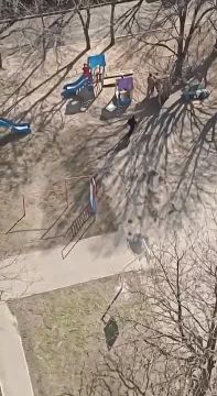 Енот из Херсона: Днепр. Гестаповцы поймали очередного ухилянта, который сдался сразу как только их увидел