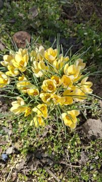 Доброе утро, Каховский округ!