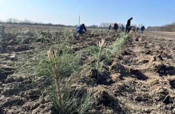 ������ ������� ����� 35 ����� �������� �������� �����