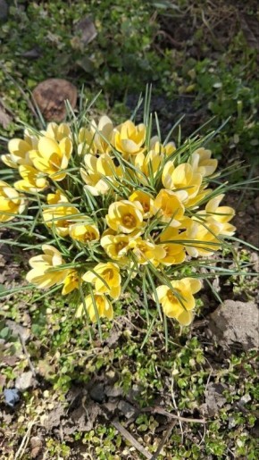 Доброе утро, Каховский округ!