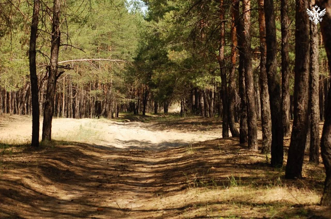 Учёные оценили масштаб экологического ущерба в новых регионах: «Белая книга» представлена в Москве