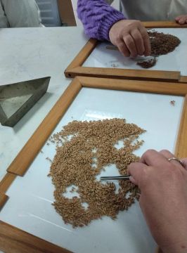 ������� ���������� ��������� ���������� �������� ��� ���� ������ �������� � ������������ �������