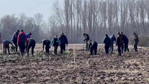 35 ����� �������� ����� �������� ������� ��������������� ������ � ������ �������� ��������