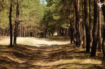 ������ ������� ������� �������������� ������ � ����� ��������