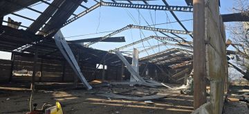 «Нанесен колоссальный ущерб»: ВСУ подожгли на Херсонщине склад с 700 тоннами зерна