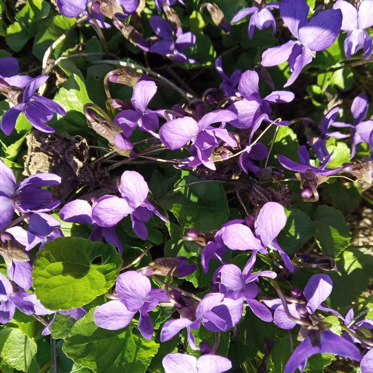 Юлия Семякина: Доброе утро, жители и гости Генического округа! Юлия Семякина: Доброе утро, жители и гости Генического округа!