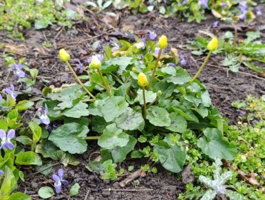 ������ ��������� ����!. ����� ������� ��� �������� ������, ������ ���������� ������������� � �����������-������� ��������� ��������� �������