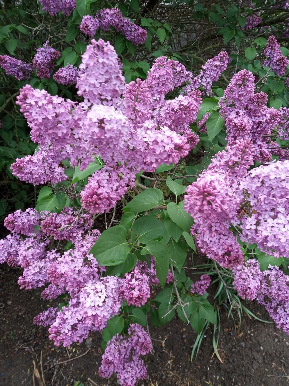 Юлия Семякина: Доброе утро, жители и гости Генического округа! Юлия Семякина: Доброе утро, жители и гости Генического округа!