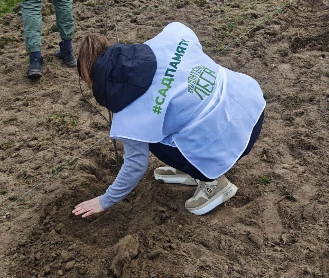 В поселке Таврия Скадовского округа прошла акция "Сад памяти" В поселке Таврия Скадовского округа прошла акция "Сад памяти"
