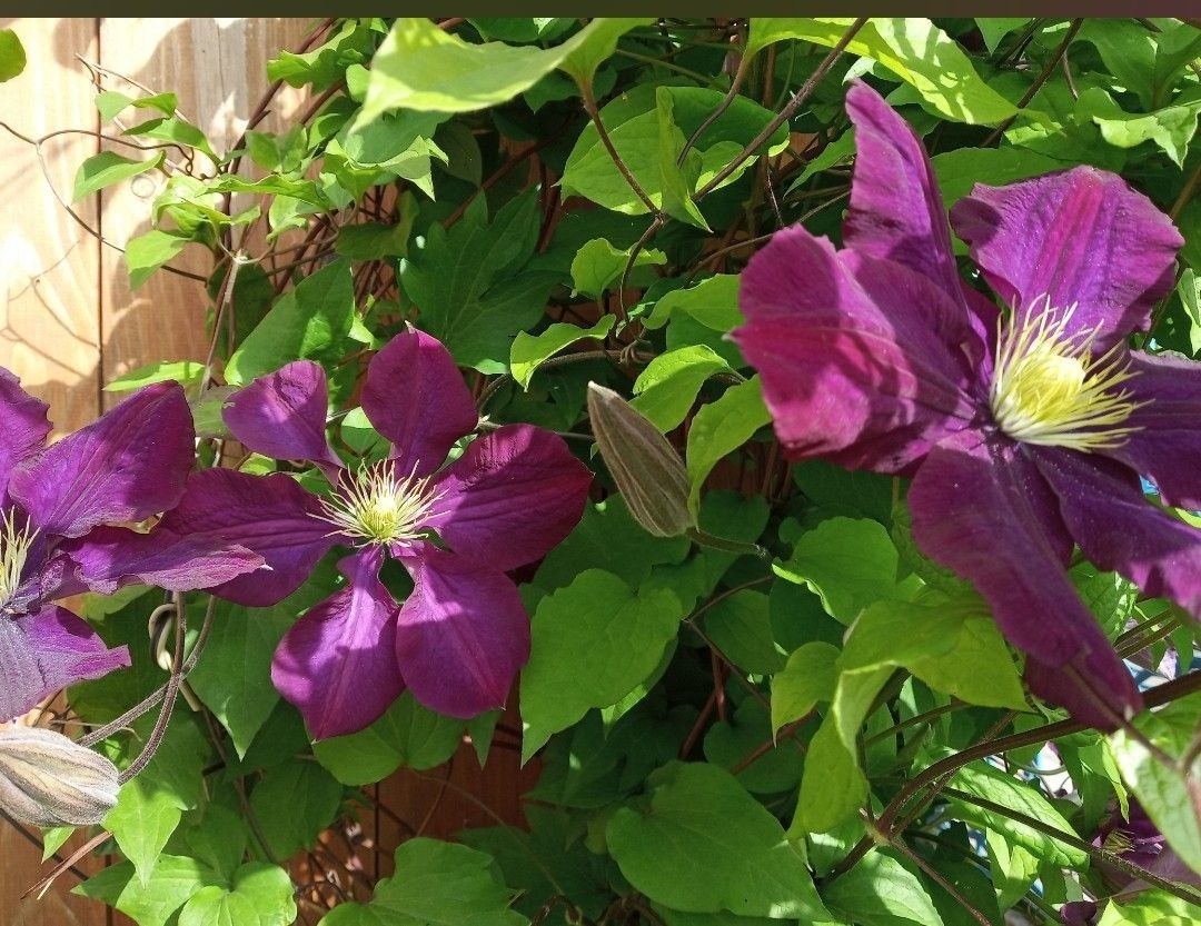 Юлия Семякина: Доброе утро, жители и гости Генического округа! Юлия Семякина: Доброе утро, жители и гости Генического округа!