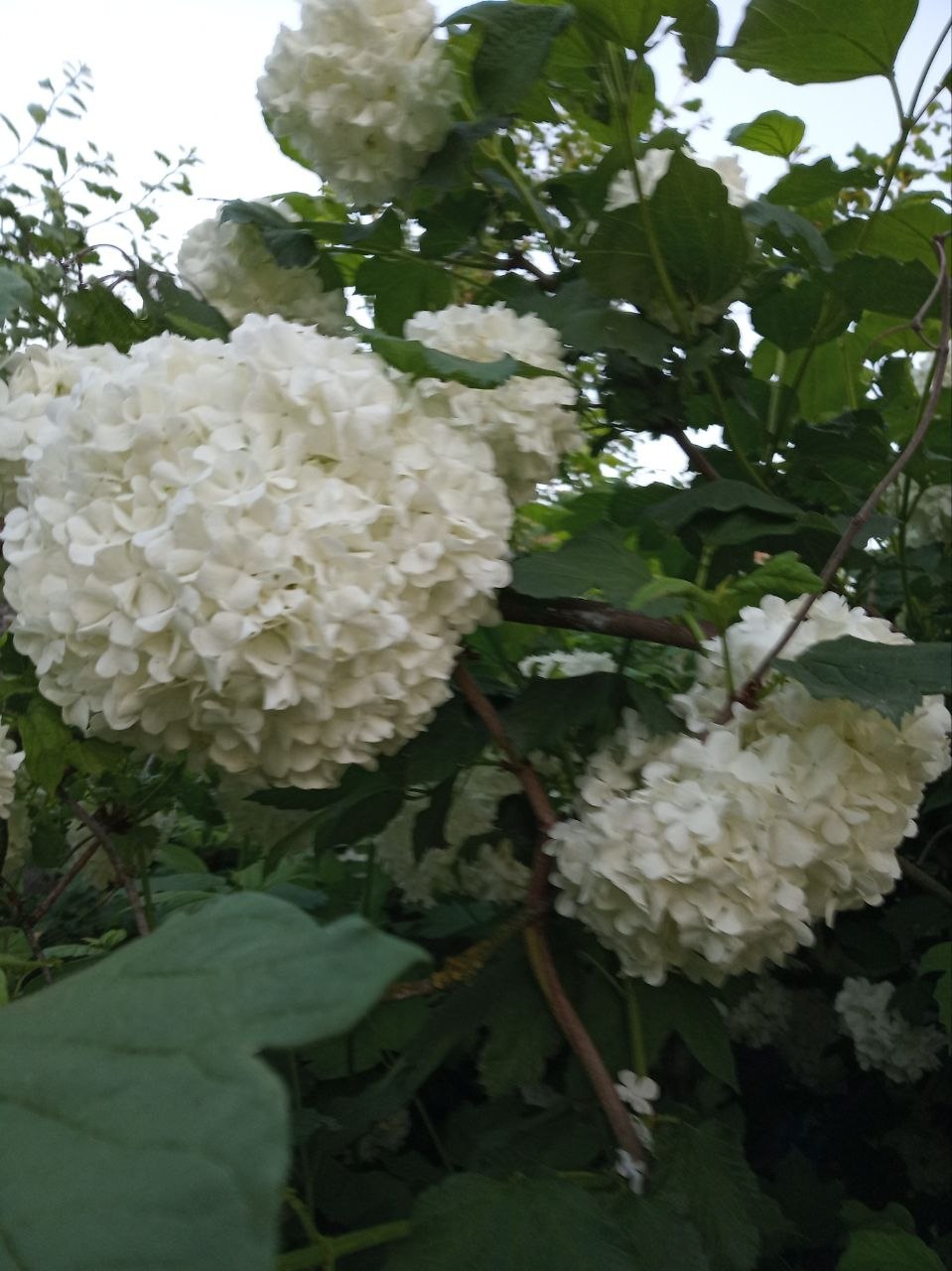 Юлия Семякина: Доброе утро, жители и гости Генического округа! Юлия Семякина: Доброе утро, жители и гости Генического округа!